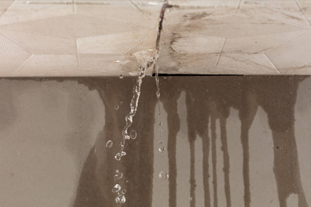 Professional Burst Pipe Cleanup technician working in Laveen, AZ